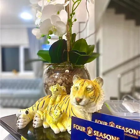 Four Seasons In Carpathians Myhove