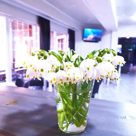 Отель Four Seasons In Carpathians