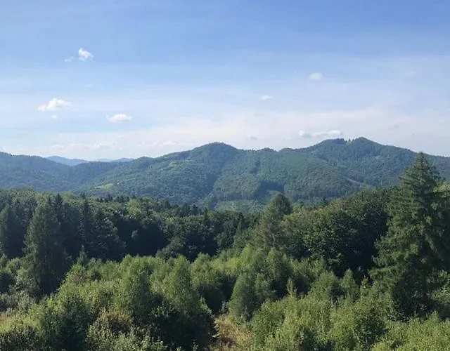 Four Seasons In Carpathians Migovo