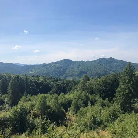 Four Seasons In Carpathians Myhowe